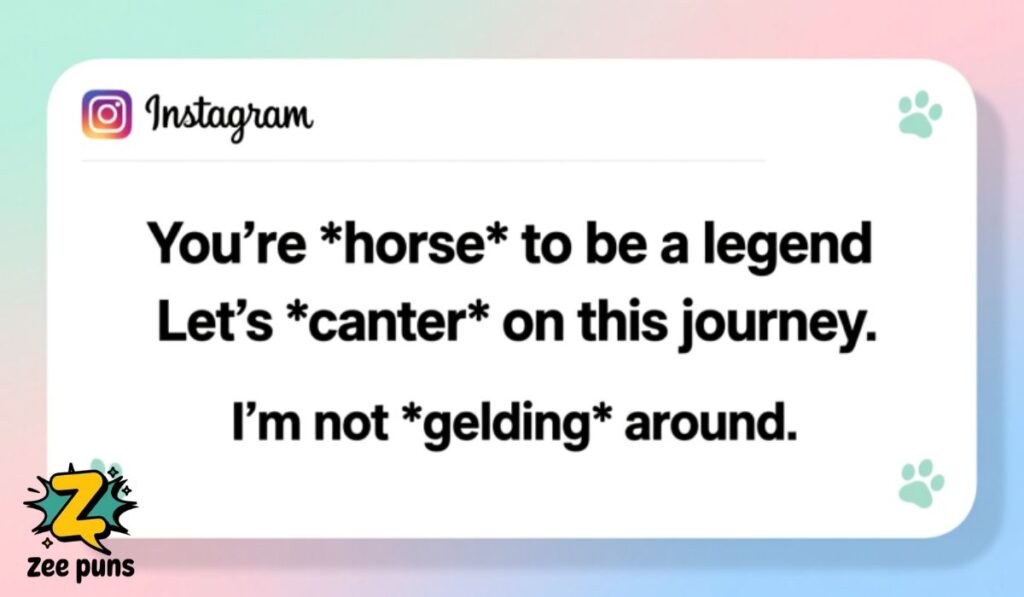 Horse Puns for Instagram Captions