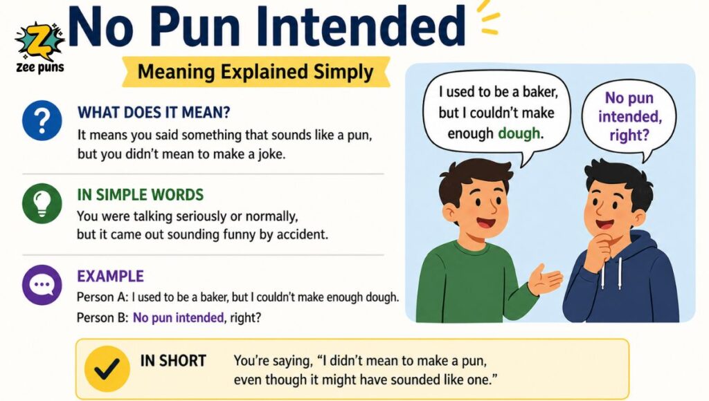 No Pun Intended Meaning Explained Simply